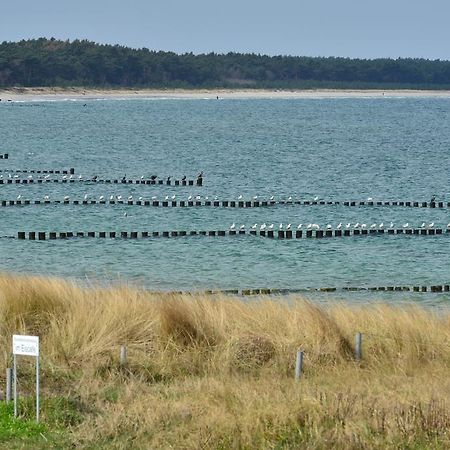 Ferienwohnung Traumstrand Glowe Luaran gambar