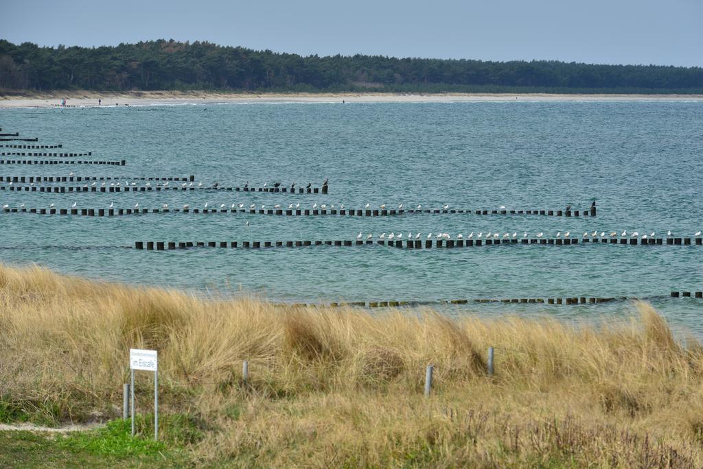 Ferienwohnung Traumstrand Glowe Luaran gambar